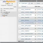 Создание таблицы в phpmyadmin